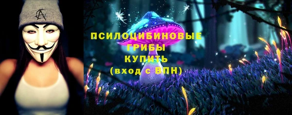 2c-b Николаевск-на-Амуре